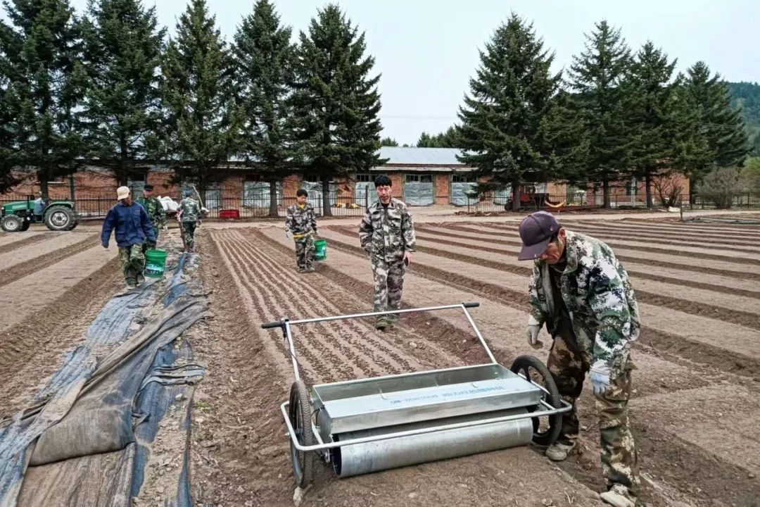 4.jpg 4.jpg
